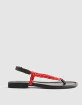 The Aliyah Thong Sandal in Paracord FESTIVAL RED