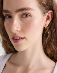 Fish Split Hoop Earrings ANTIQUE GOLD