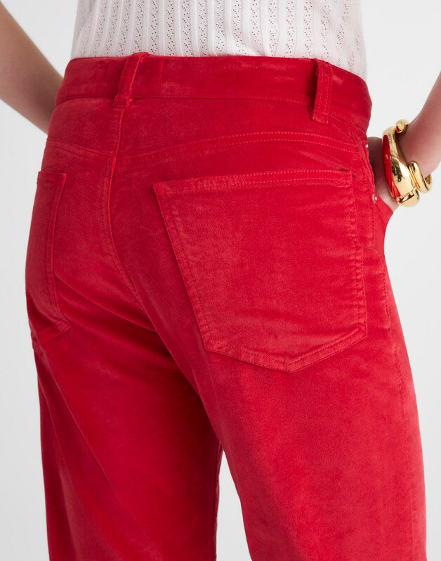 The Longline Straight Pant in Velvet CRIMSON