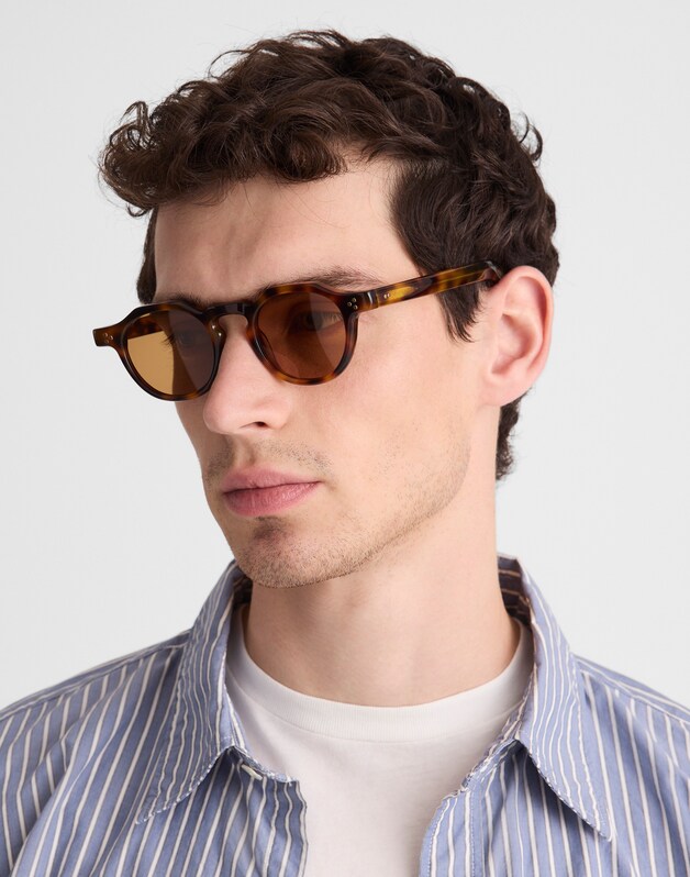 Wooster Sunglasses CLASSIC TORT