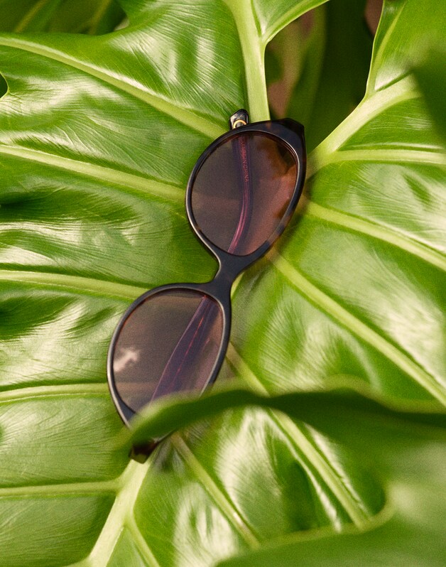 The Solina Oval Sunglasses WHISKY TORT