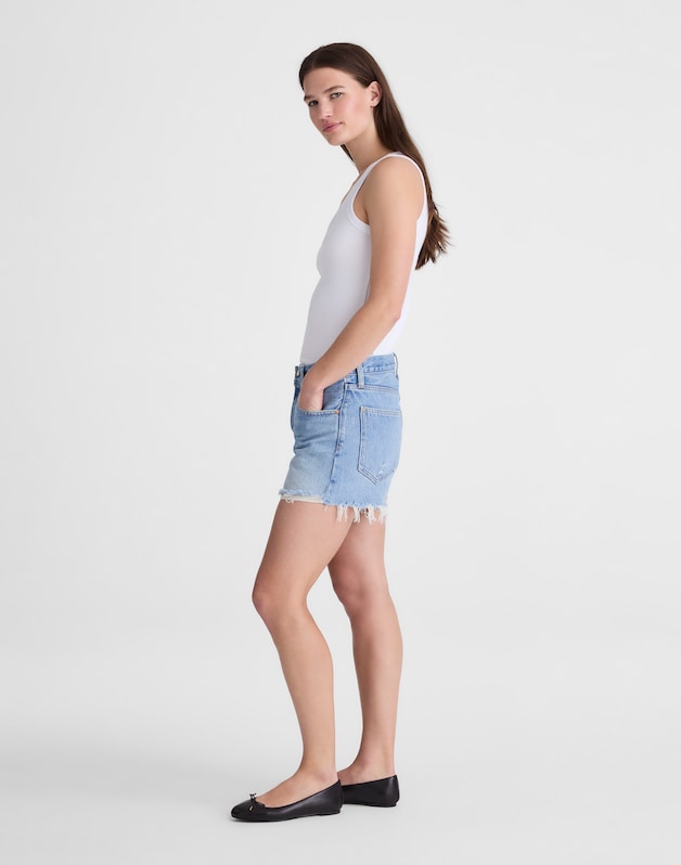 The Essex Short FADED HORIZON WASH